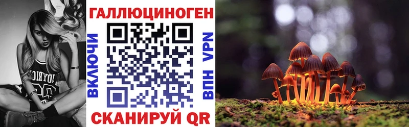 наркотики  Каргат  Псилоцибиновые грибы прущие грибы 