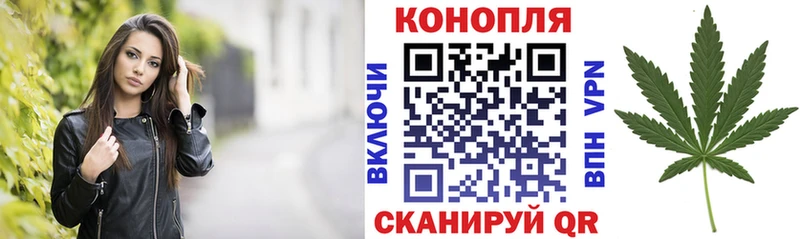 Марихуана семена  нарко площадка телеграм  Каргат 